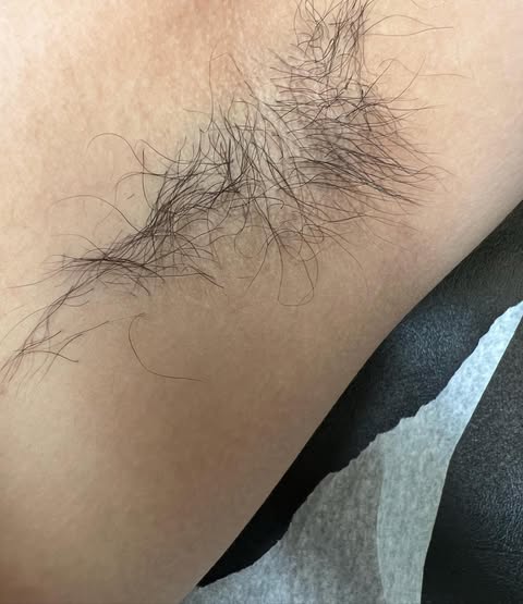 384297684_3666029713721822_1293535135159871247_n